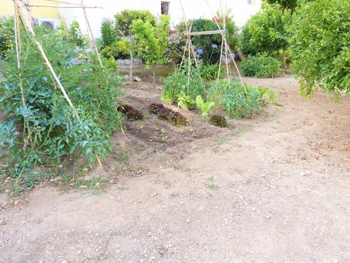 Hort De La Cinteta Villa Alcover Bagian luar foto