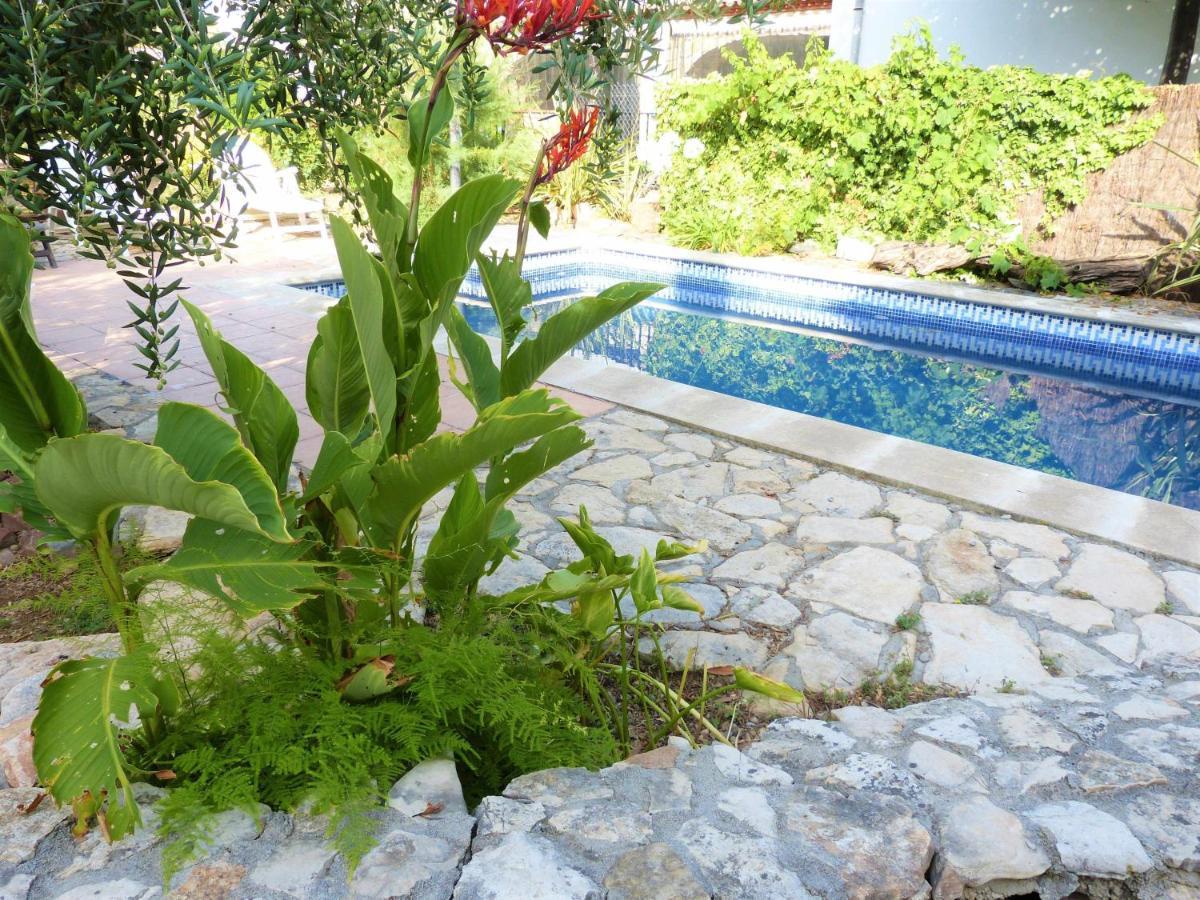 Hort De La Cinteta Villa Alcover Bagian luar foto